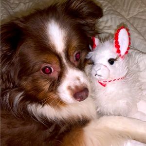 Reserved Mystery Box for Jill